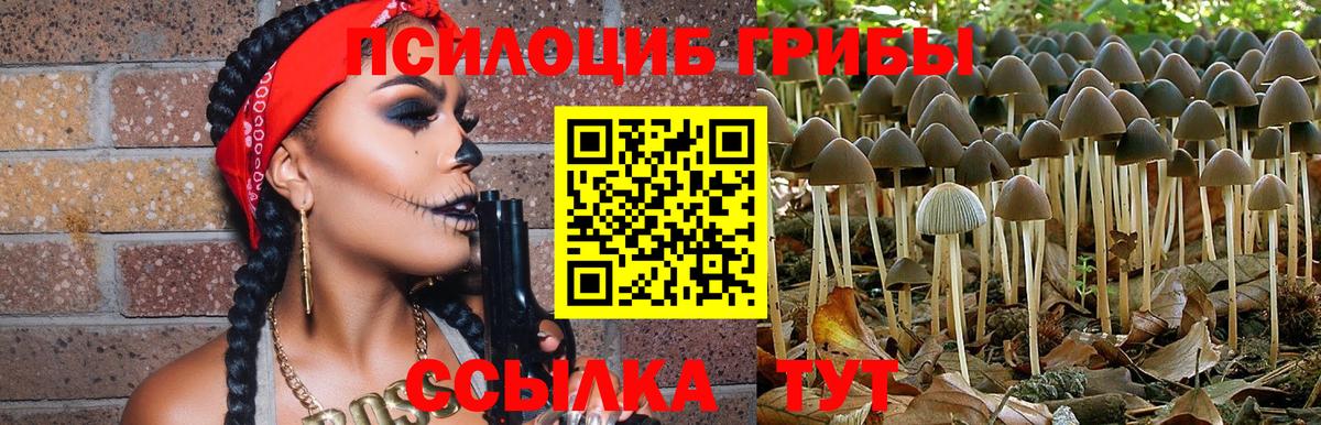 Псилоцибиновые грибы прущие грибы  Псилоцибиновые грибы MAGIC MUSHROOMS  Будённовск  Вход с VPN 